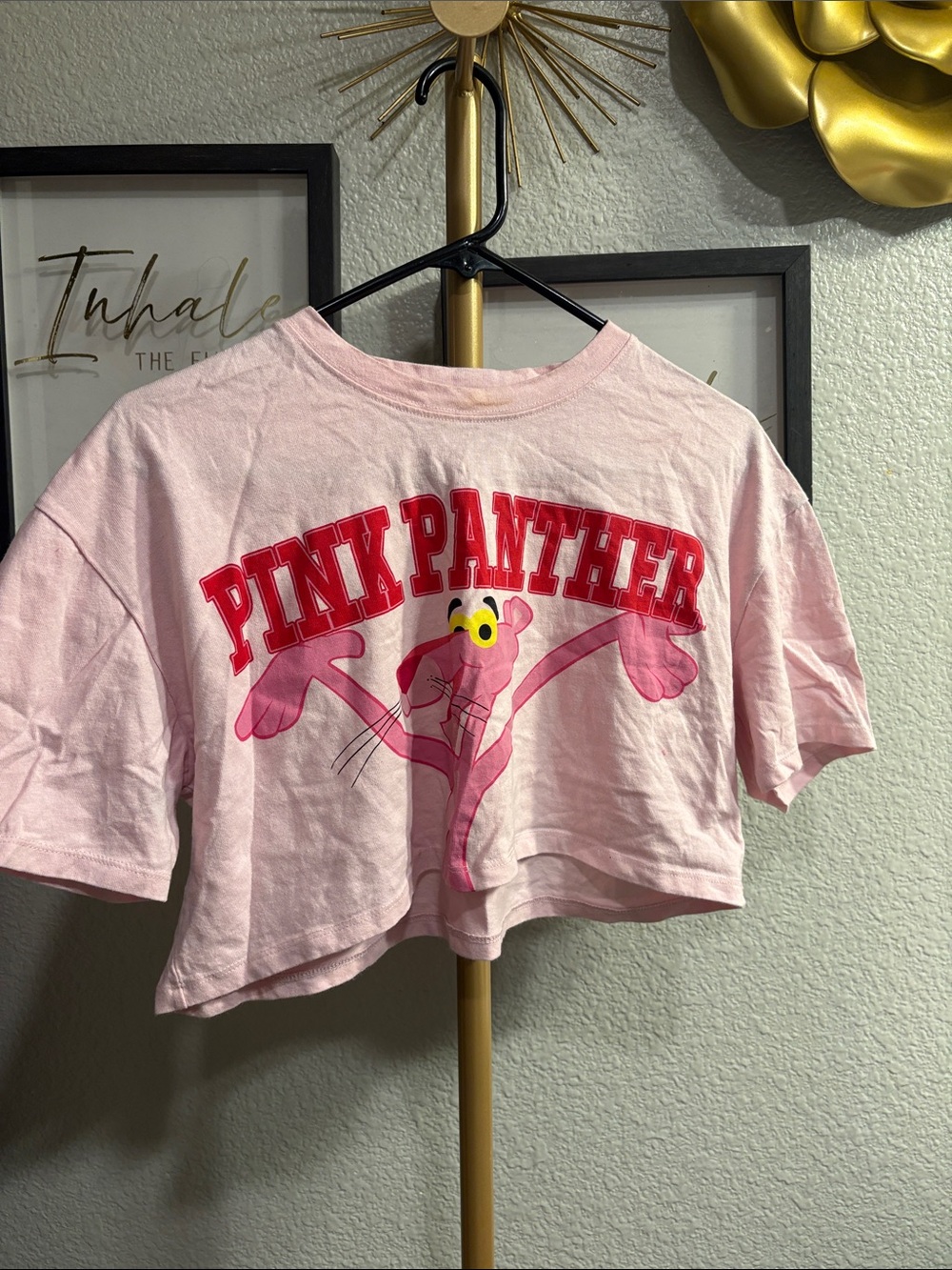 Pink Panther Pink Graphic Crop Tee